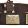 Brass Plate - Leather Collar -Collars Sales Shop DTC83Brass 2