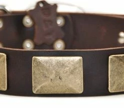 Brass Plate - Leather Collar