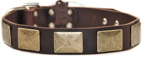 Brass Plate - Leather Collar 3 Brass Plate - Leather Collar