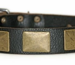 Brass Plate - Leather Collar 10 Brass Plate - Leather Collar -Collars Sales Shop DTC83Brass 4