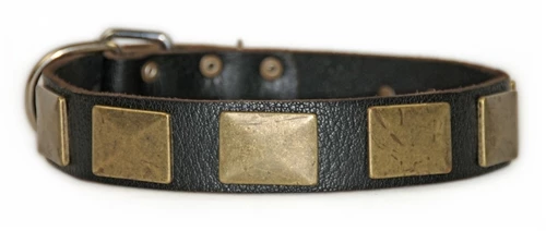 Brass Plate - Leather Collar 5 Brass Plate - Leather Collar - Image 3