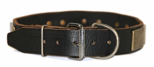 Brass Plate - Leather Collar 6 Brass Plate - Leather Collar - Image 4
