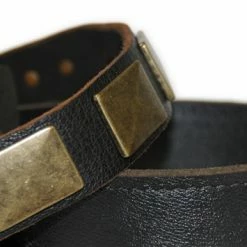 Brass Plate - Leather Collar 12 Brass Plate - Leather Collar -Collars Sales Shop DTC83Brass 6