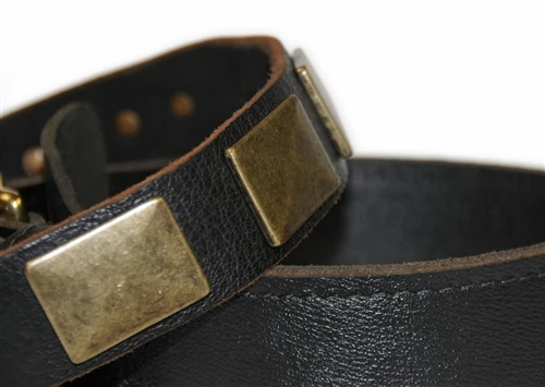 Brass Plate - Leather Collar 7 Brass Plate - Leather Collar - Image 5