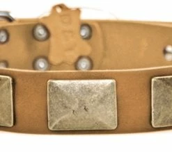 Brass Plate - Leather Collar 13 Brass Plate - Leather Collar -Collars Sales Shop DTC83Brass 7