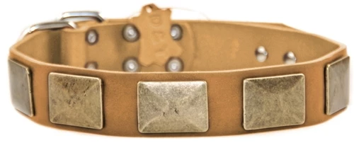 Brass Plate - Leather Collar 8 Brass Plate - Leather Collar - Image 6