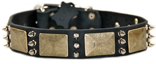 Beauty And The Bold - Spiked Collar 3 Beauty And The Bold - Spiked Collar