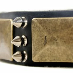 Beauty And The Bold - Spiked Collar 10 Beauty And The Bold - Spiked Collar -Collars Sales Shop DTC84 4