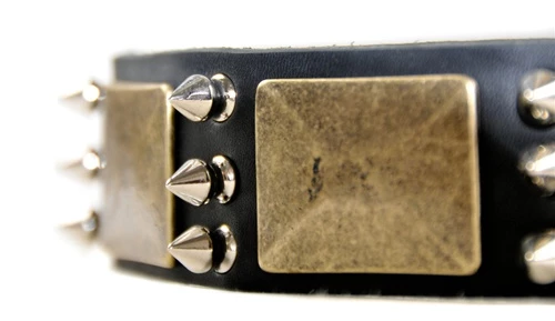 Beauty And The Bold - Spiked Collar 5 Beauty And The Bold - Spiked Collar - Image 3