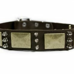 Beauty And The Bold - Spiked Collar 11 Beauty And The Bold - Spiked Collar -Collars Sales Shop DTC84 5