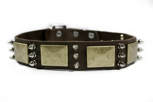 Beauty And The Bold - Spiked Collar 6 Beauty And The Bold - Spiked Collar - Image 4