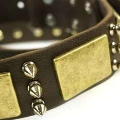 Beauty And The Bold - Spiked Collar 12 Beauty And The Bold - Spiked Collar -Collars Sales Shop DTC84 6