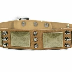 Beauty And The Bold - Spiked Collar 13 Beauty And The Bold - Spiked Collar -Collars Sales Shop DTC84 7