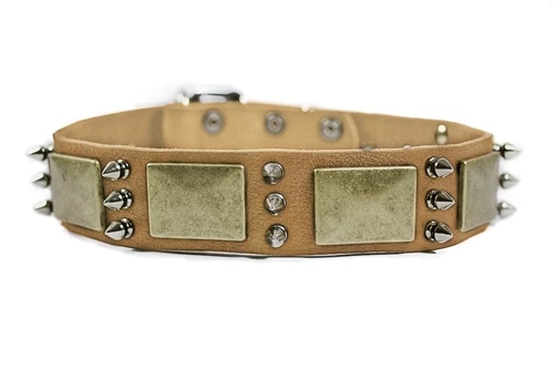 Beauty And The Bold - Spiked Collar 8 Beauty And The Bold - Spiked Collar - Image 6