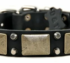 The Antique - Leather Collar