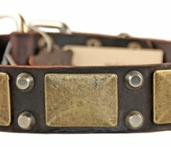 The Antique - Leather Collar -Collars Sales Shop DTC85 5