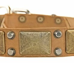 The Antique - Leather Collar -Collars Sales Shop DTC85 7