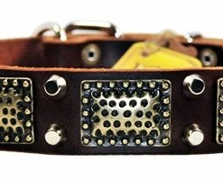 Thor - Spiked Collar