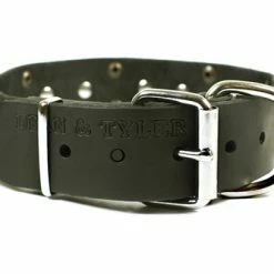 Thor - Spiked Collar -Collars Sales Shop DTC85plus 4
