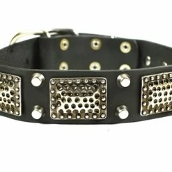 Thor - Spiked Collar -Collars Sales Shop DTC85plus 5