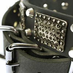 Thor - Spiked Collar -Collars Sales Shop DTC85plus 6