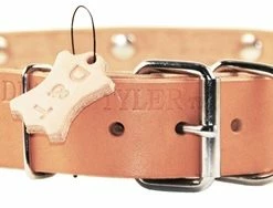 Thor - Spiked Collar -Collars Sales Shop DTC85plus 7