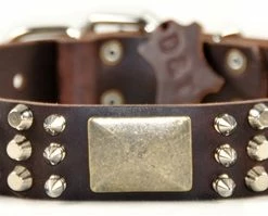 Crazy Combo - Spiked Collar