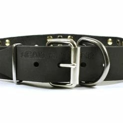 Crazy Combo - Spiked Collar -Collars Sales Shop DTC86 5