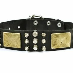 Crazy Combo - Spiked Collar -Collars Sales Shop DTC86 6