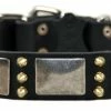 Devilish Della - Spiked Collar -Collars Sales Shop DTC87 2