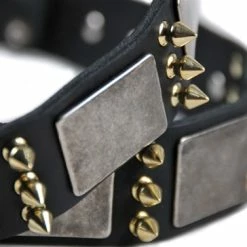 Devilish Della - Spiked Collar 10 Devilish Della - Spiked Collar -Collars Sales Shop DTC87 4