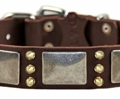 Devilish Della - Spiked Collar 11 Devilish Della - Spiked Collar -Collars Sales Shop DTC87 5