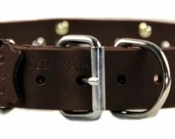 Devilish Della - Spiked Collar 12 Devilish Della - Spiked Collar -Collars Sales Shop DTC87 6