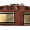 Brass Style - Leather Collar