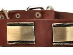 Brass Style - Leather Collar