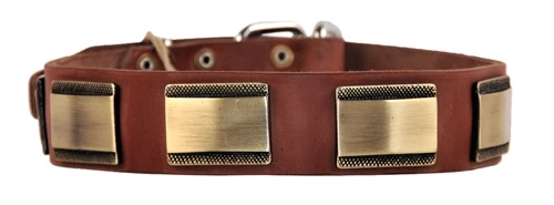 Brass Style - Leather Collar 3 Brass Style - Leather Collar
