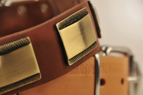 Brass Style - Leather Collar 4 Brass Style - Leather Collar - Image 2