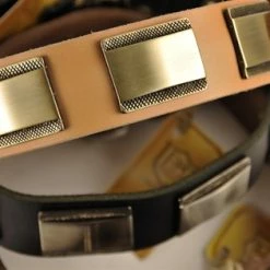 Brass Style - Leather Collar 10 Brass Style - Leather Collar -Collars Sales Shop DTC88Brass 4