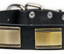 Brass Style - Leather Collar 11 Brass Style - Leather Collar -Collars Sales Shop DTC88Brass 5