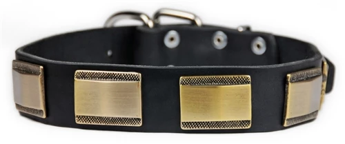 Brass Style - Leather Collar 6 Brass Style - Leather Collar - Image 4