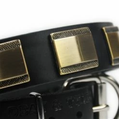 Brass Style - Leather Collar 12 Brass Style - Leather Collar -Collars Sales Shop DTC88Brass 6