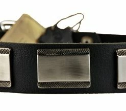 White Light - Leather Collar