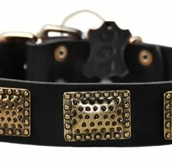 Drum Roll - Leather Collar -Collars Sales Shop DTC89 5