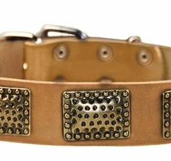 Drum Roll - Leather Collar -Collars Sales Shop DTC89 7