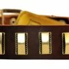 Brass Line - Leather Collar -Collars Sales Shop DTC90Brass 2