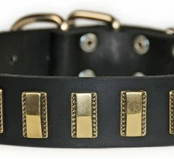 Brass Line - Leather Collar -Collars Sales Shop DTC90Brass 4