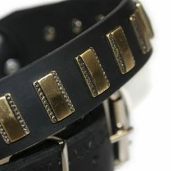 Brass Line - Leather Collar -Collars Sales Shop DTC90Brass 6