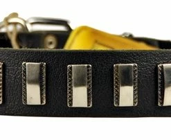 Silver Fire - Leather Collar