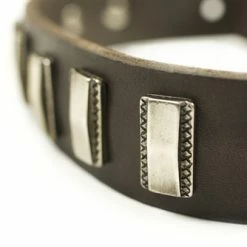 Silver Fire - Leather Collar -Collars Sales Shop DTC90Nickel 6