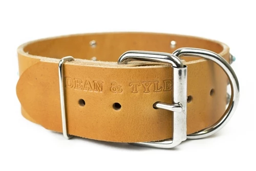 Azul 5 Azul - Image 3